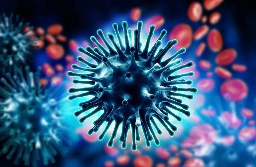 GUARA INFLUENZA 0001
