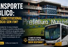 TRANSPORTE PÚBLICO: DIREITO CONSTITUCIONAL OU NEGÓCIO SEM FIM?